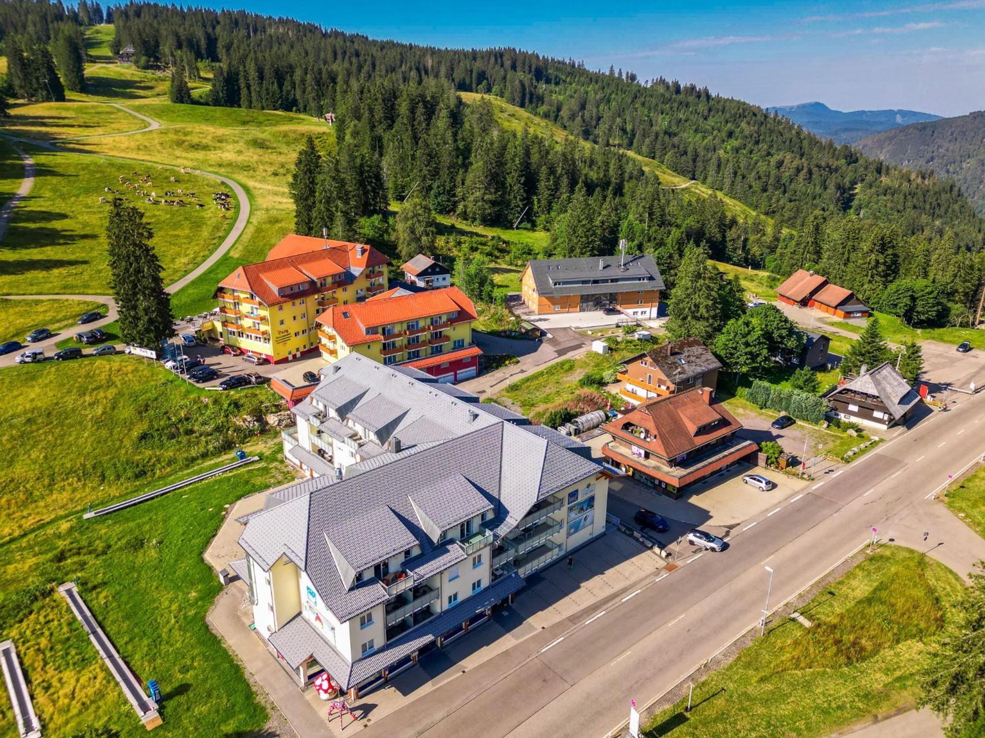 Feldberg Domizil - Residenz Grafenmatt Apartment Rinken Exterior foto